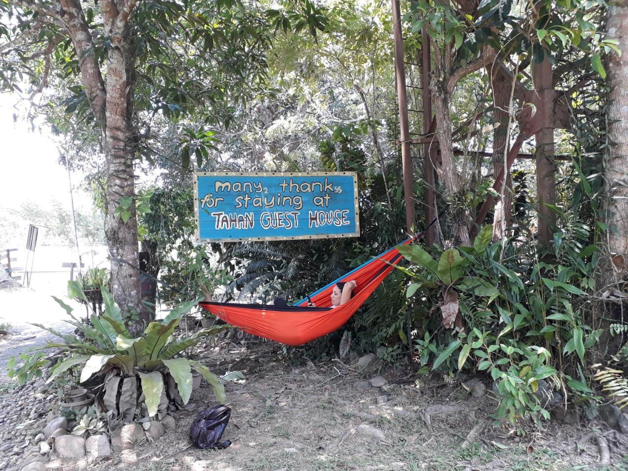 Tahan Guest House Kuala Tahan Buitenkant foto